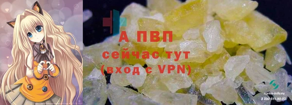 гидропоника Белокуриха
