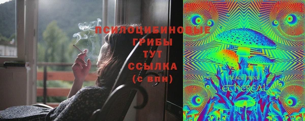 дурь Белоозёрский