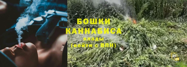 дурь Белоозёрский