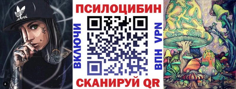 купить закладку  Богучар  Галлюциногенные грибы Psilocybine cubensis 